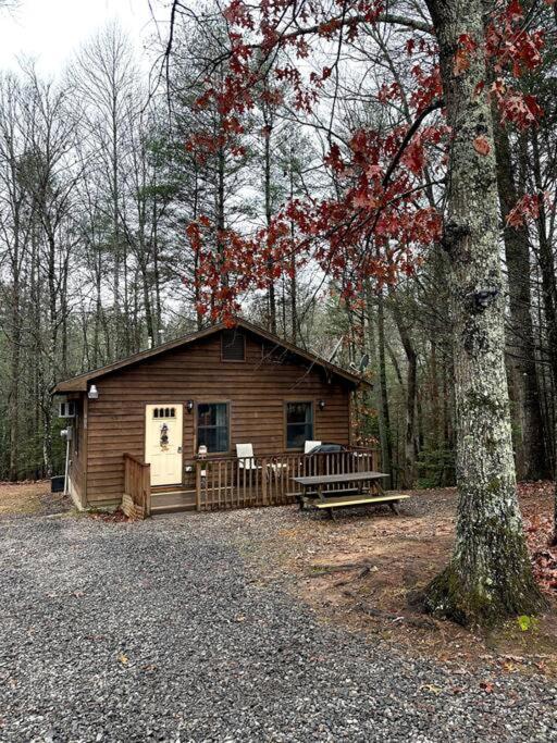 Private Cozy Cabin In The Woods With Great View Murphy Esterno foto