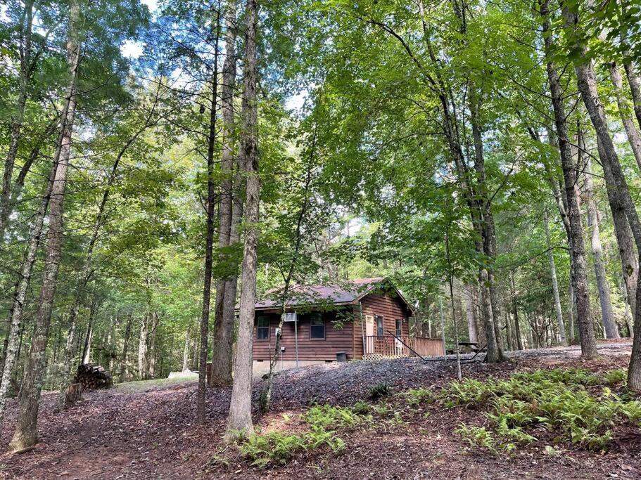 Private Cozy Cabin In The Woods With Great View Murphy Esterno foto