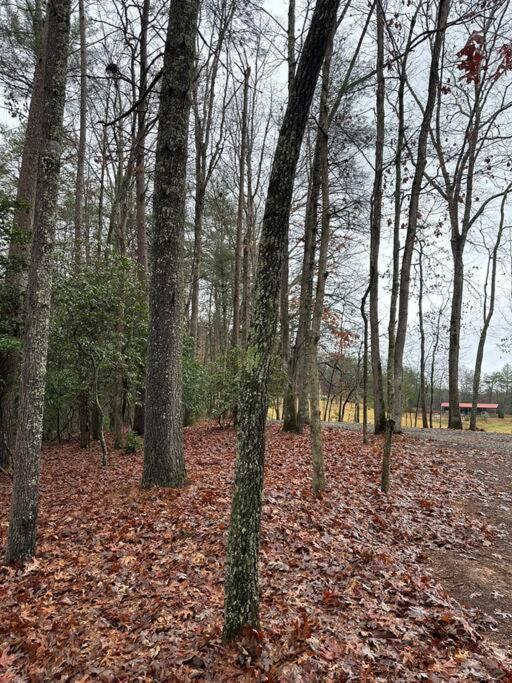 Private Cozy Cabin In The Woods With Great View Murphy Esterno foto